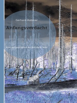 cover image of Anfangsverdacht
